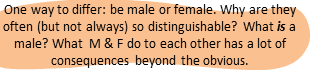 Males, females